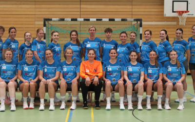 Aktive: TSV Sinsheim 3 – SGW Tigers 29:19 (13:8)